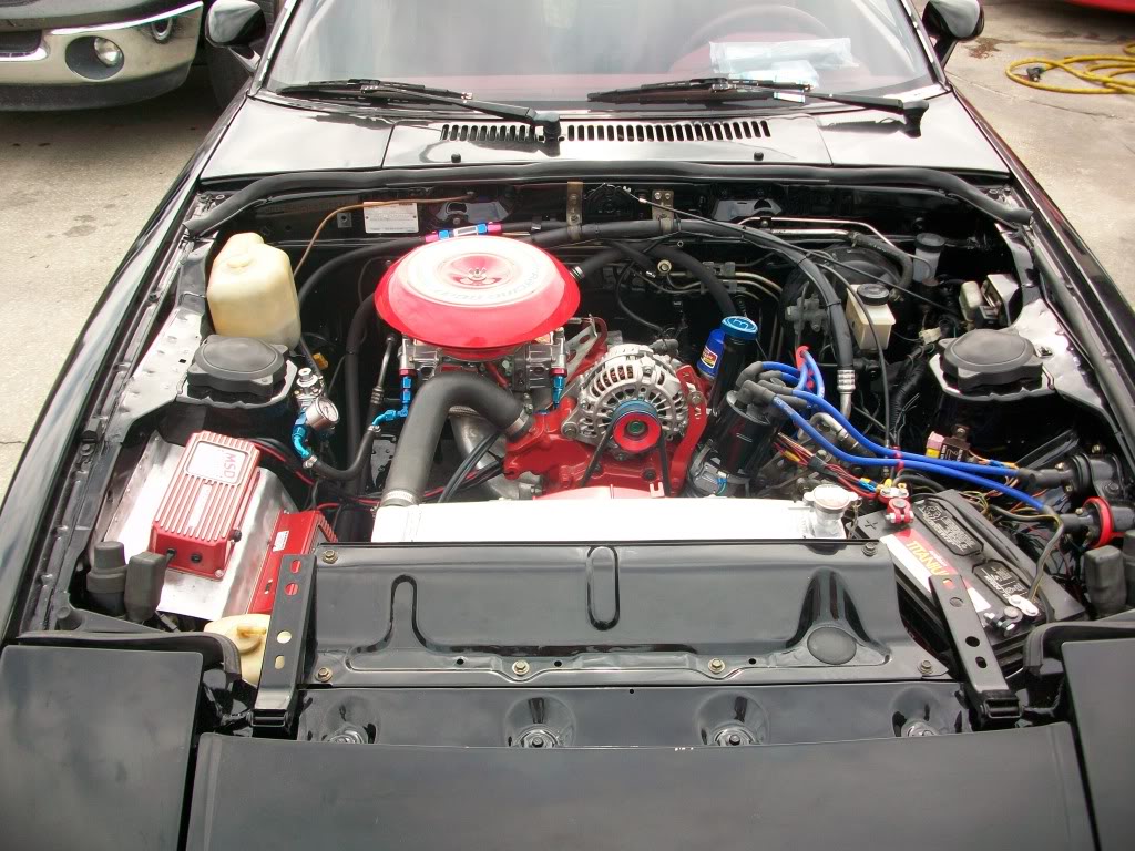 Name:  100_0364.jpg
Views: 268
Size:  203.2 KB