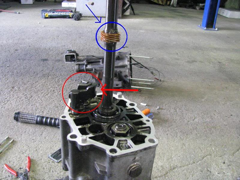 Name:  Copyofpicture005.jpg
Views: 190
Size:  85.2 KB