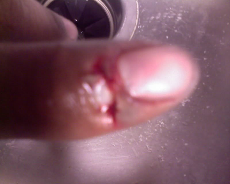 Name:  IMAGE_084.jpg
Views: 15
Size:  31.2 KB