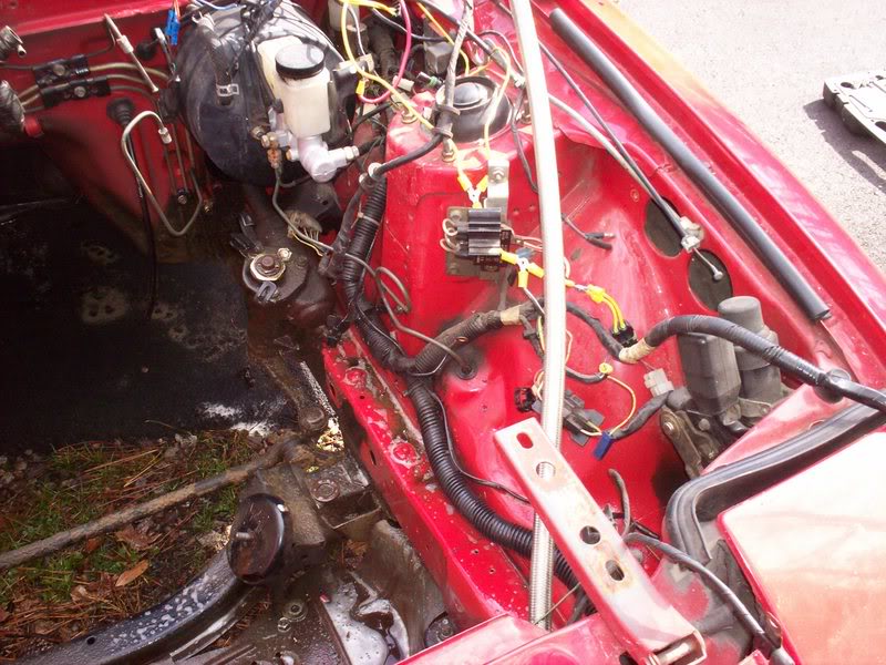 Name:  100_0723.jpg
Views: 23
Size:  114.5 KB