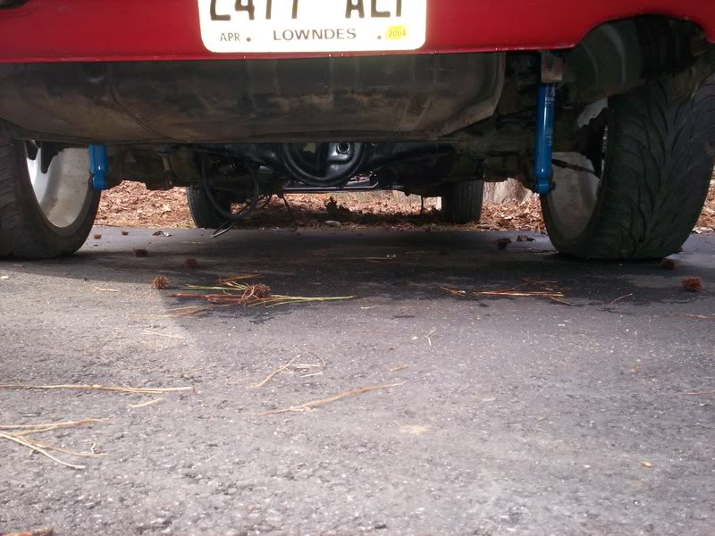 Name:  100_0729.jpg
Views: 24
Size:  96.6 KB