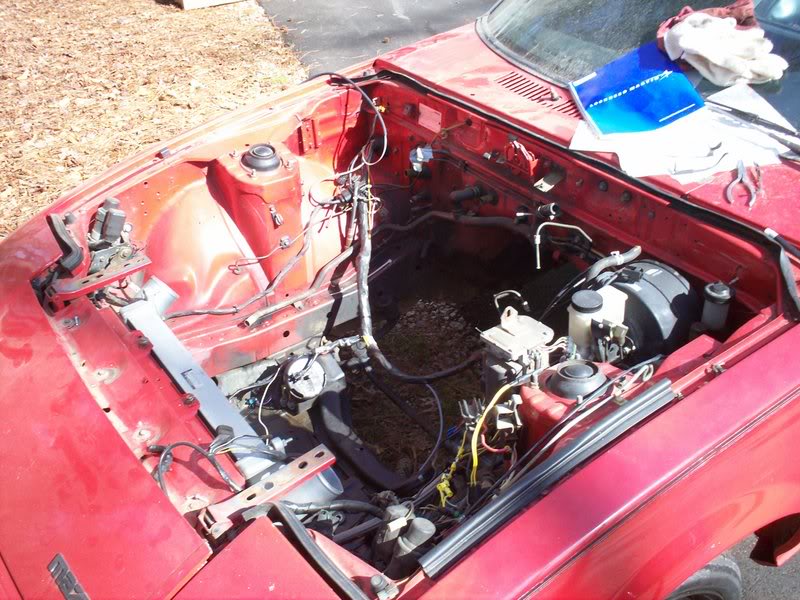 Name:  100_0712.jpg
Views: 22
Size:  116.6 KB