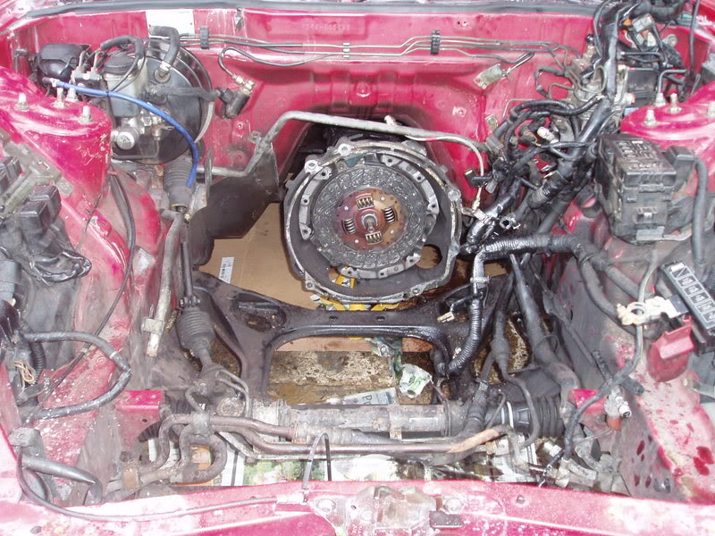 Name:  P9250013.jpg
Views: 732
Size:  125.0 KB