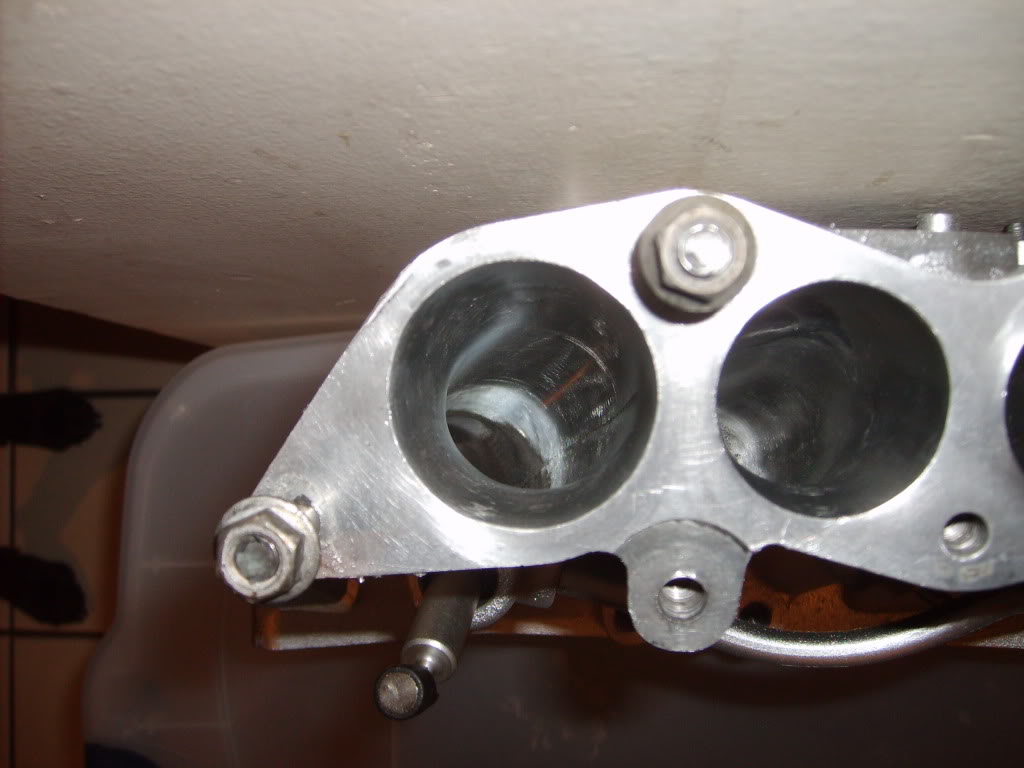 Name:  LIMportandpolish5.jpg
Views: 24
Size:  115.5 KB