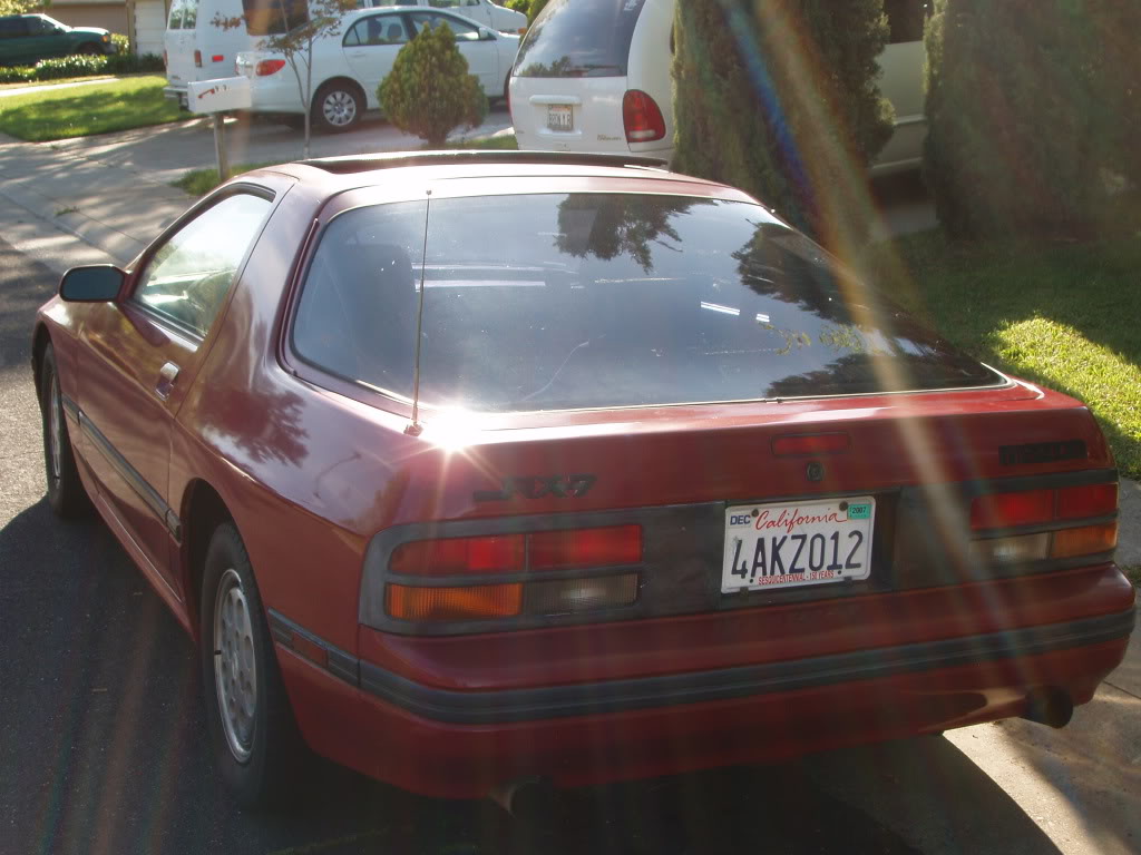 Name:  P1010229.jpg
Views: 26
Size:  105.9 KB