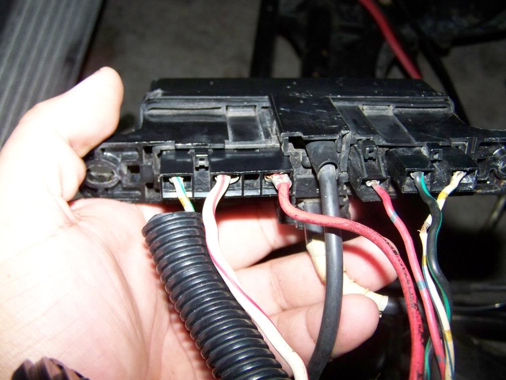 Name:  100_0296.jpg
Views: 1516
Size:  98.0 KB