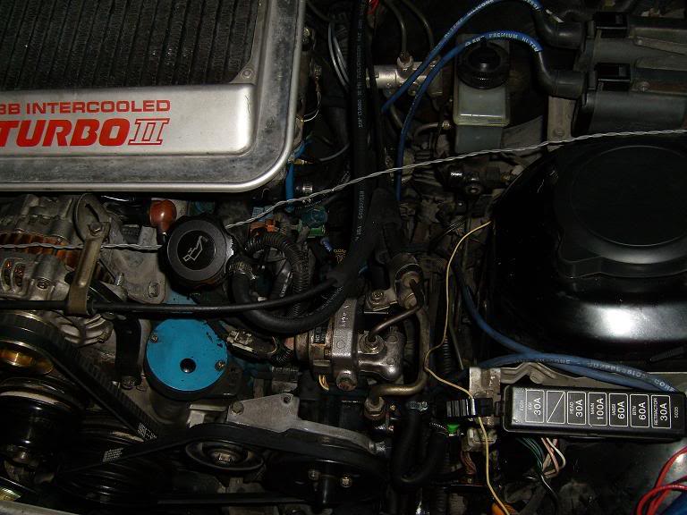 Name:  S7300139edit.jpg
Views: 584
Size:  71.1 KB