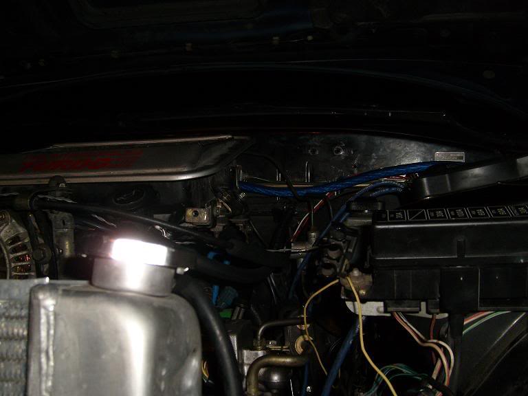 Name:  S7300141edit.jpg
Views: 588
Size:  40.6 KB