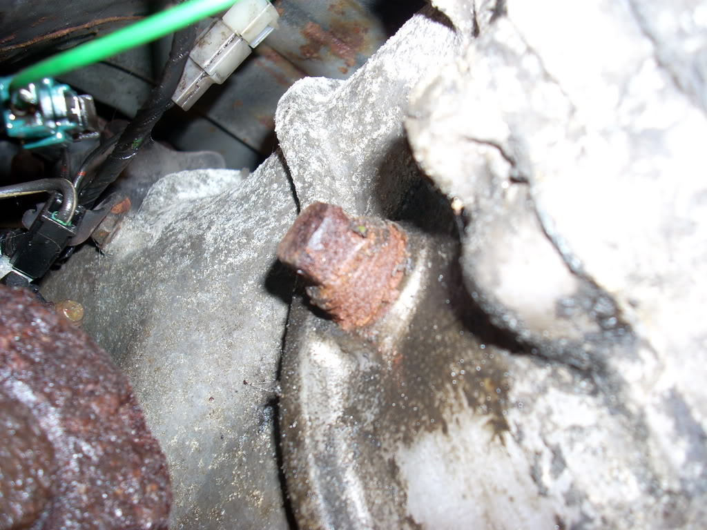 Name:  DSCN1616.jpg
Views: 14
Size:  174.8 KB