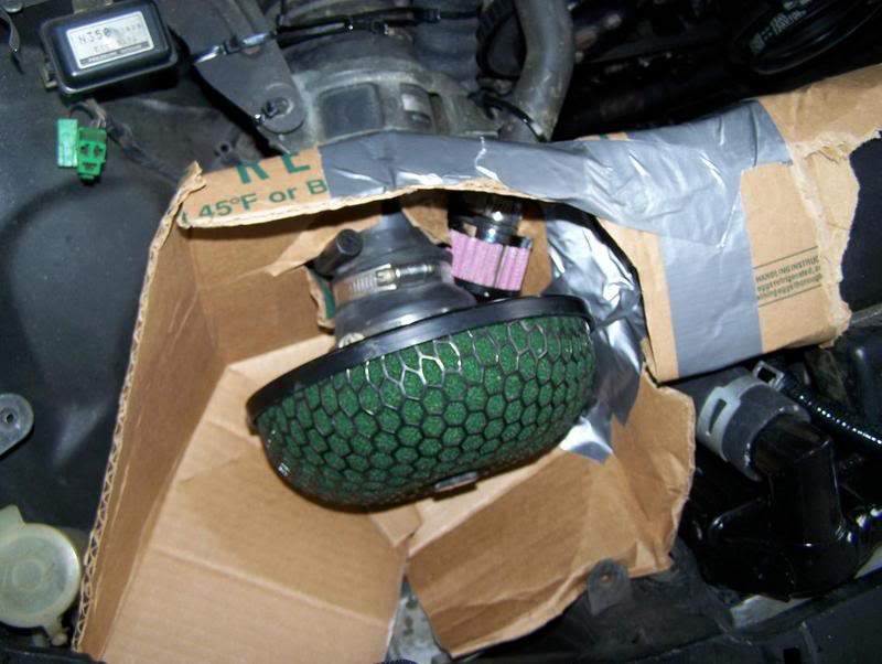 Name:  100_0941.jpg
Views: 18
Size:  61.4 KB