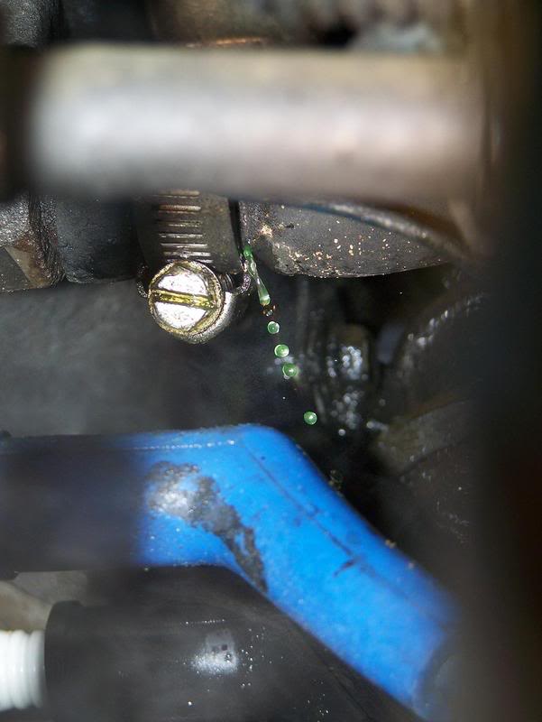 Name:  100_0912.jpg
Views: 24
Size:  41.3 KB