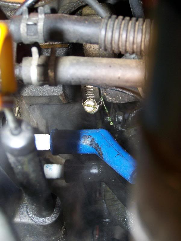 Name:  100_0913.jpg
Views: 23
Size:  51.2 KB