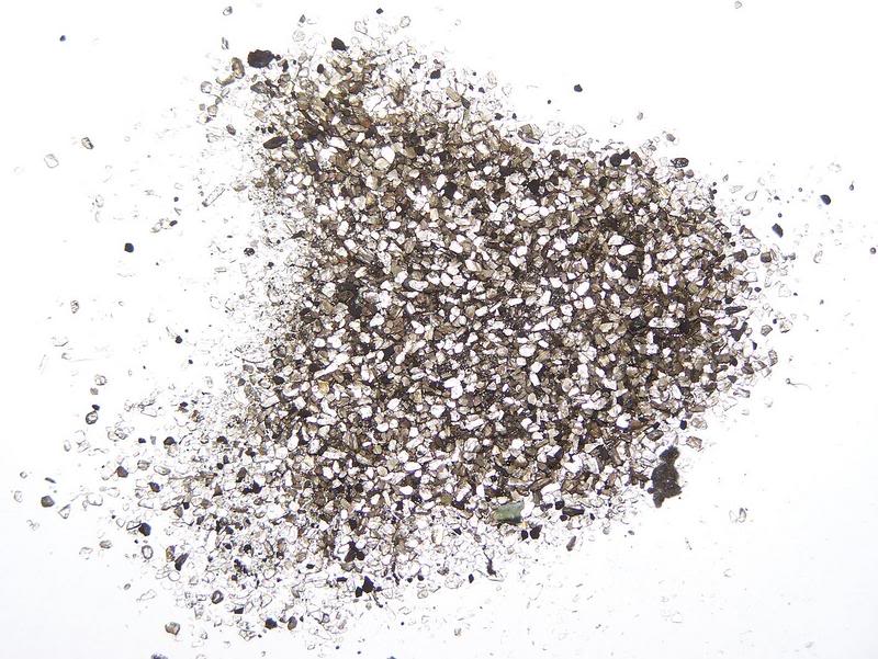 Name:  100_0905.jpg
Views: 24
Size:  113.2 KB