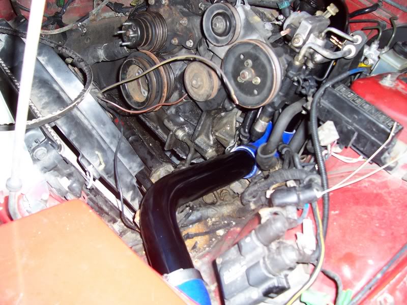 Name:  100_0391.jpg
Views: 20
Size:  103.9 KB