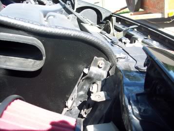 Name:  Picture352.jpg
Views: 15
Size:  26.5 KB