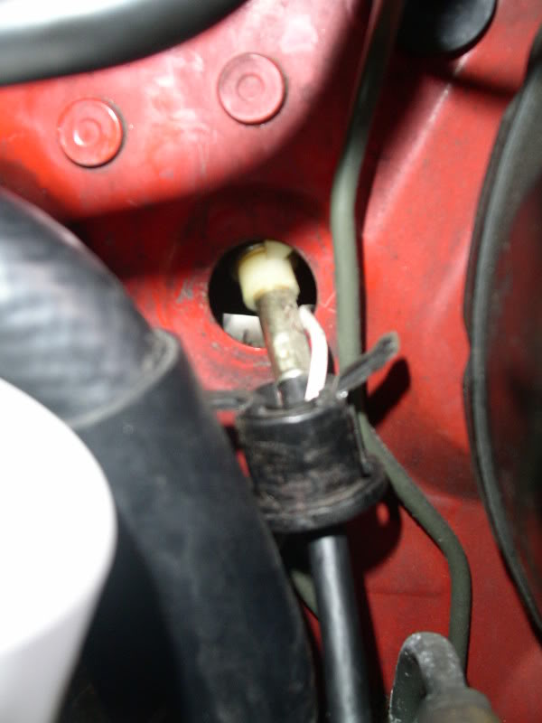 Name:  PICT0809.jpg
Views: 102
Size:  44.4 KB