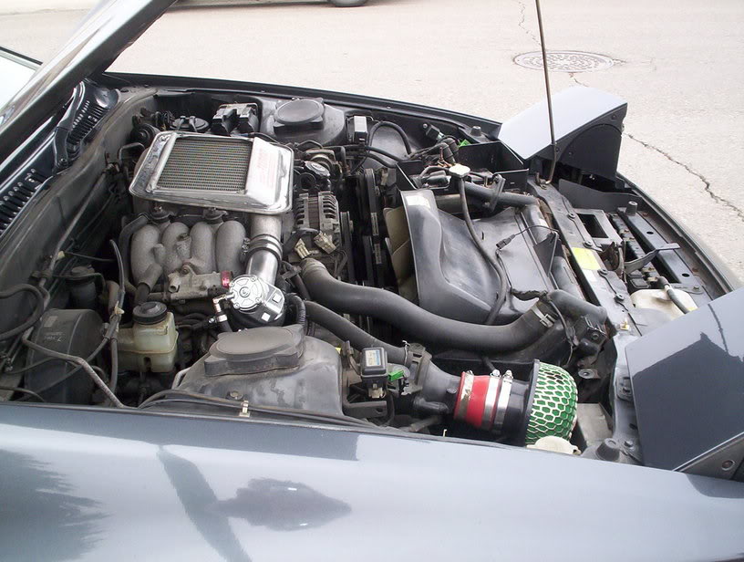 Name:  JessicasPictures712.jpg
Views: 24
Size:  93.1 KB