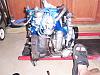 The rest of the pics...-dcp_0006_1.jpg