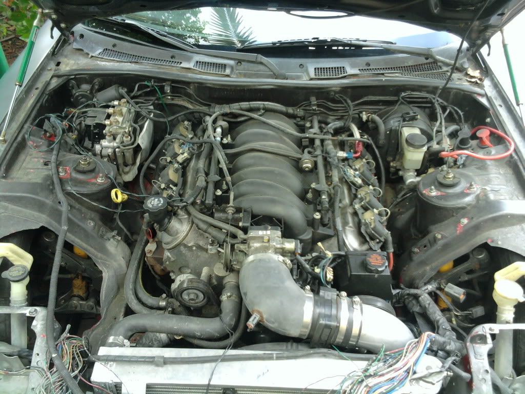 Name:  2011-08-03123343.jpg
Views: 87
Size:  185.0 KB