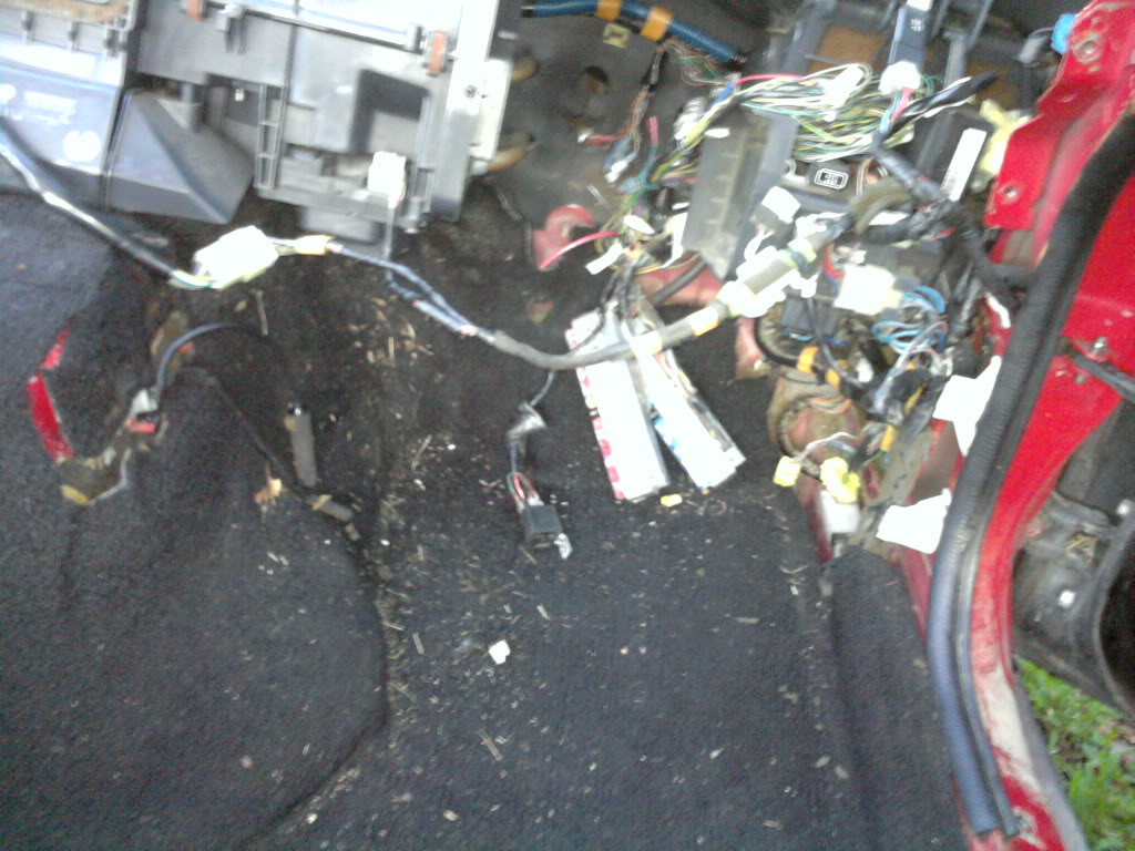 Name:  2011-08-05194140.jpg
Views: 89
Size:  154.9 KB