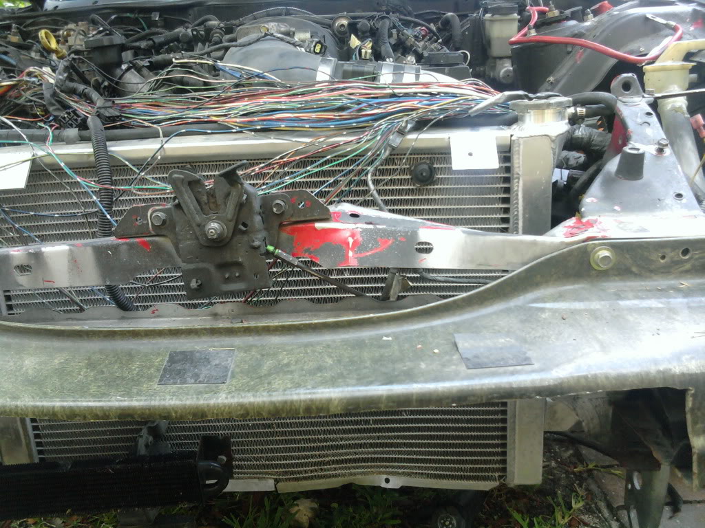 Name:  2011-08-03130939.jpg
Views: 126
Size:  196.1 KB