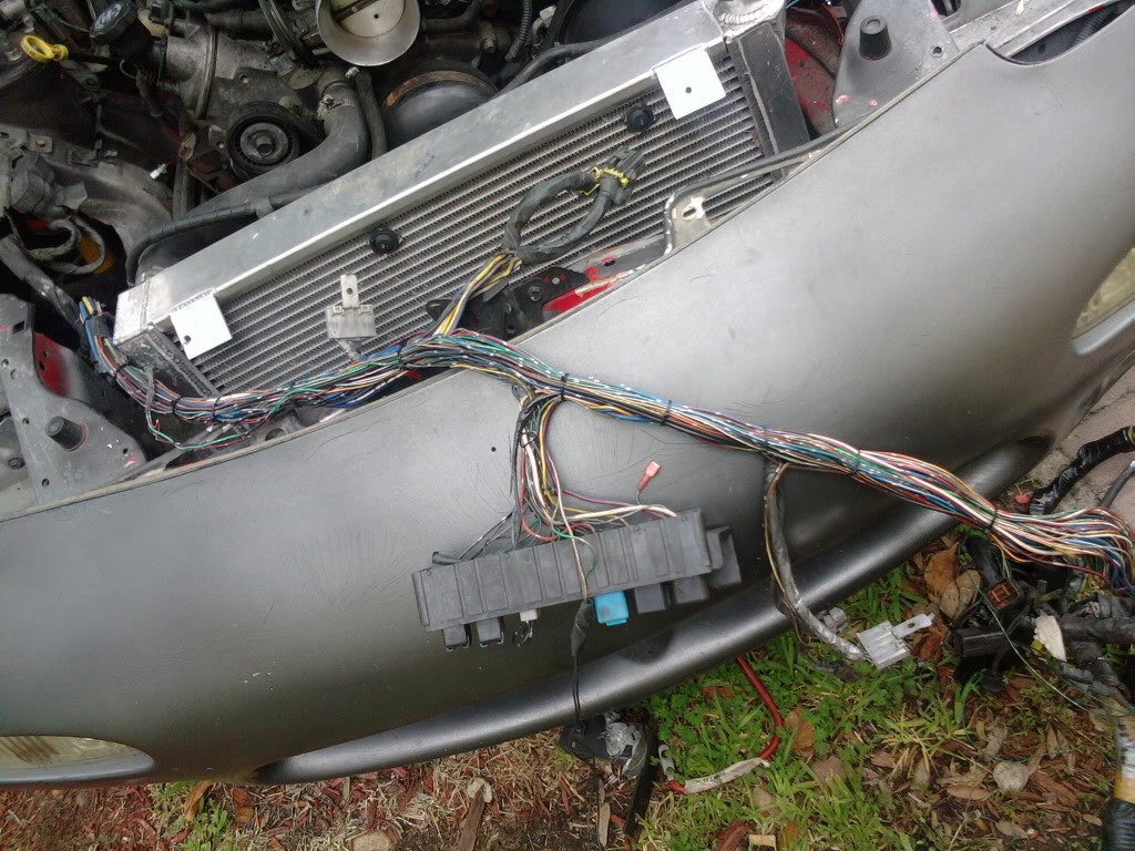 Name:  2011-08-07132057.jpg
Views: 66
Size:  192.2 KB