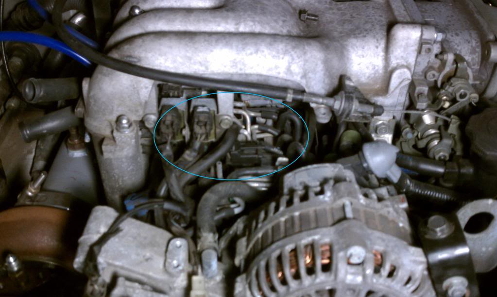 Name:  RatNest.jpg
Views: 189
Size:  74.8 KB