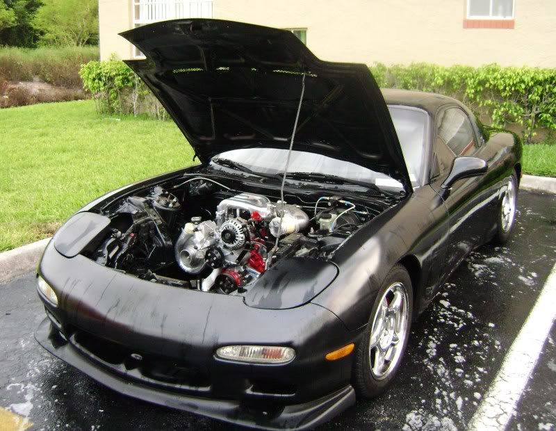 Name:  DSC03907.jpg
Views: 22
Size:  126.5 KB