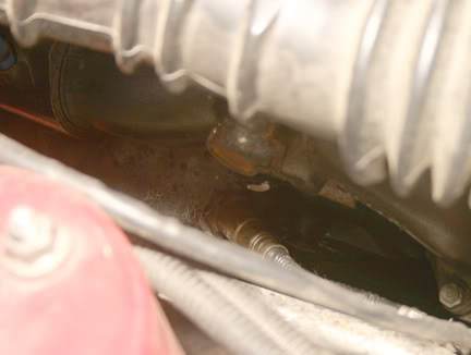 Name:  IMG_7704r1.jpg
Views: 173
Size:  19.8 KB