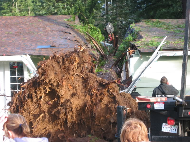 Name:  IMG_8000.jpg
Views: 21
Size:  141.8 KB