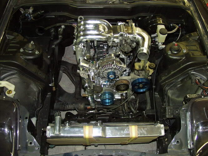 Name:  P2023834.jpg
Views: 281
Size:  75.9 KB