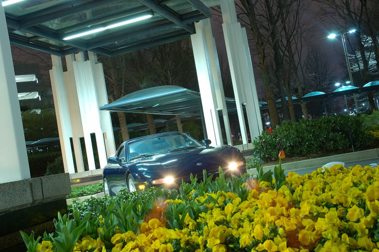 Name:  DSC_0051.jpg
Views: 23
Size:  131.4 KB