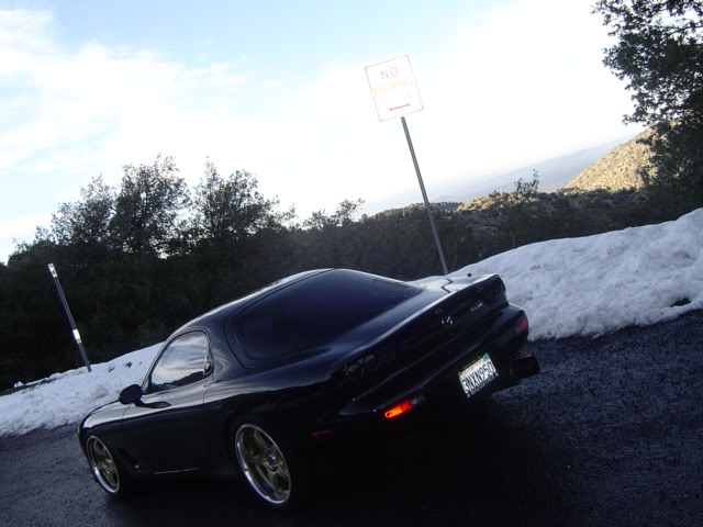 Name:  famphotos011.jpg
Views: 27
Size:  50.7 KB