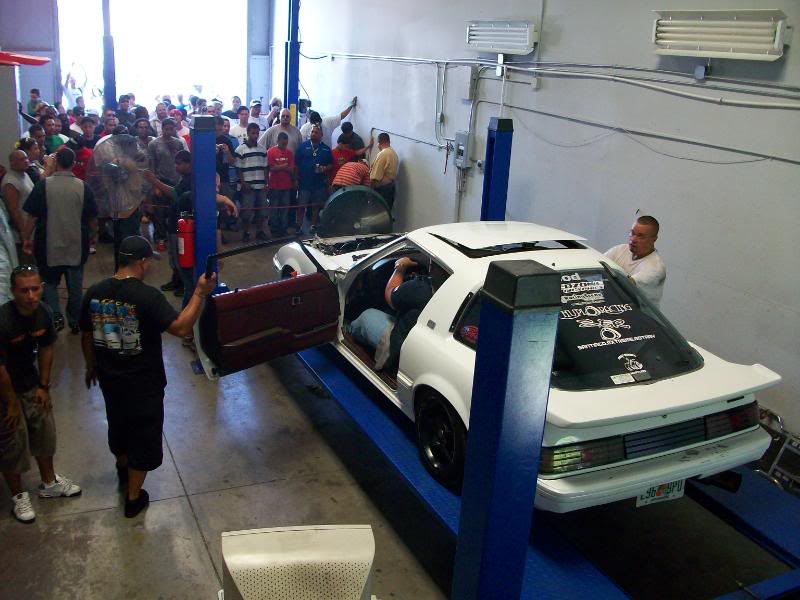 Name:  182.jpg
Views: 35
Size:  67.6 KB