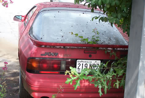 Name:  b204.jpg
Views: 31
Size:  34.4 KB