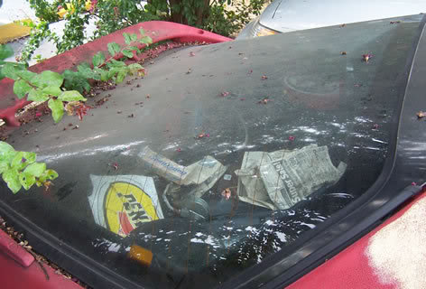 Name:  b205.jpg
Views: 38
Size:  36.0 KB