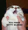 Im Gonna Rant Now.-you_make_kitty_scard.jpg