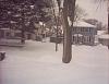 This Is An Old One I Found On The Computer Today-snow2.jpg