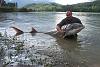 Big Fish!-swampy_sturgeon.jpg