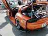 Check This Out!-p1010016.jpg