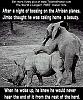 hahah too funny.-elephant_rhino.jpg