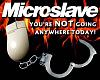 Phins heres a new job opening in the WA area..-tn_anti_microslave.jpg