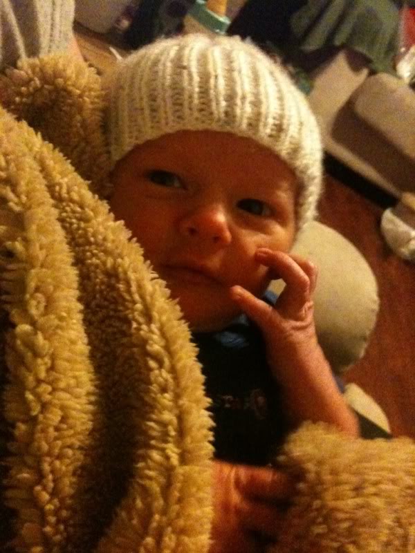 Name:  35b7d69c.jpg
Views: 21
Size:  80.1 KB