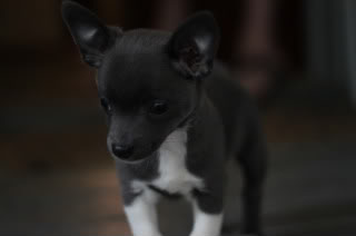 Name:  IMG_1959.jpg
Views: 13
Size:  5.7 KB