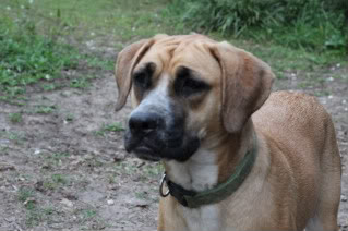 Name:  IMG_1978.jpg
Views: 15
Size:  18.4 KB