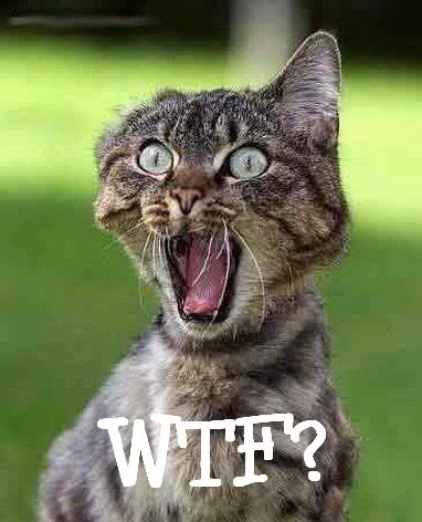 Name:  wtf.jpg
Views: 18
Size:  30.4 KB