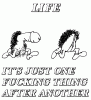 This Is Wrong-life.gif
