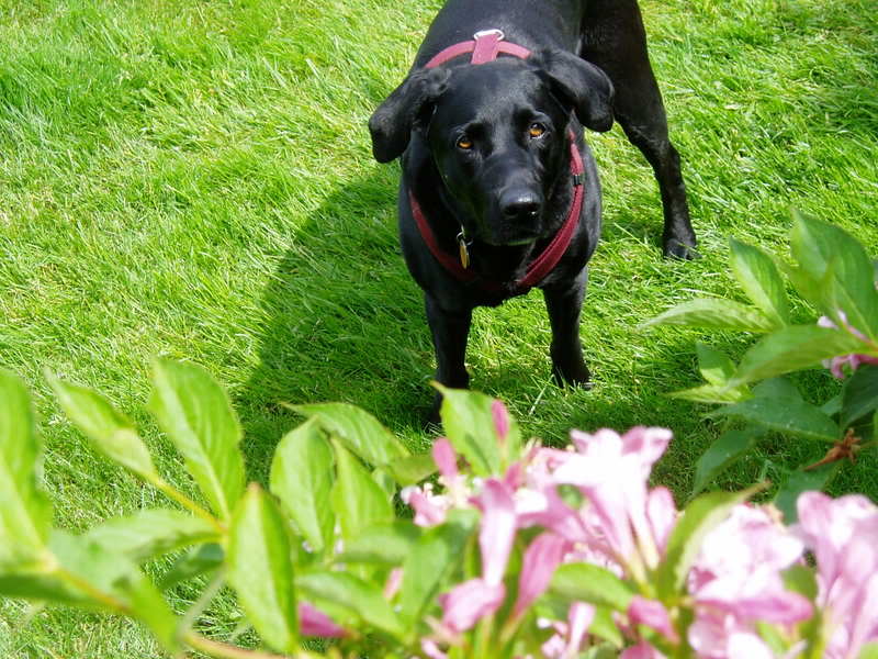 Name:  P1010677-2.jpg
Views: 14
Size:  96.3 KB