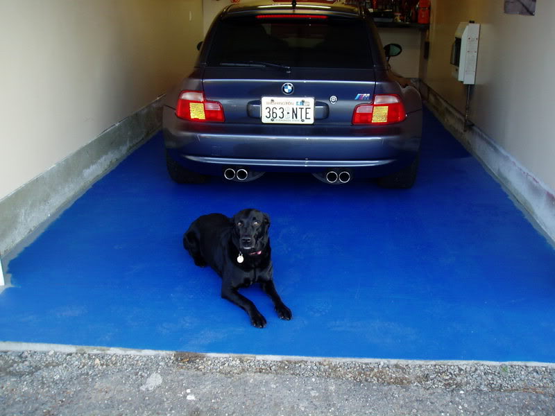 Name:  P1010084.jpg
Views: 14
Size:  63.3 KB