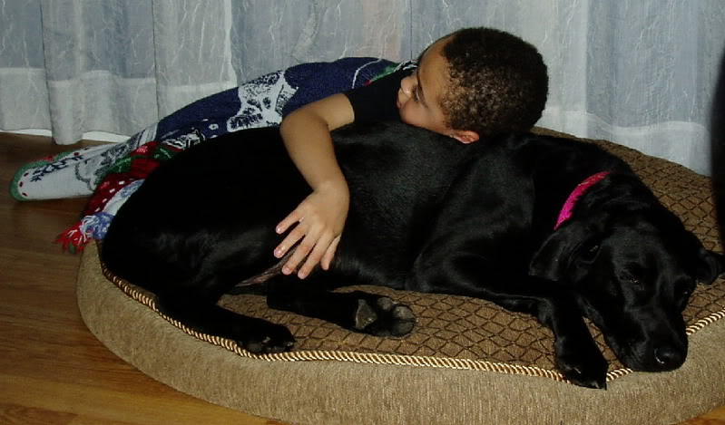 Name:  stevenlady.jpg
Views: 14
Size:  79.5 KB